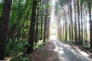 . S. Cedar Rd.