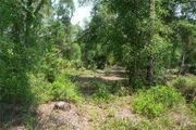 1015 Seminole Bear Trail