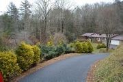1859 Shook Cove Rd.