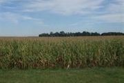 9908 South Milan Rd. Sr 250