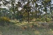 181st