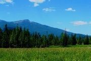 17612 Sullivan Lk Lt 4