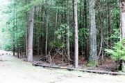 Swanson Loop Rd.