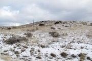 Tbd Larkspur Ln.
