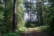 Tbd N.W. Off Cable Lake Rd., Dead Slough River 160