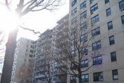 39-60 54th St., 6U