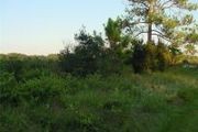 Tract 26 Lake Erie Rd., 0000