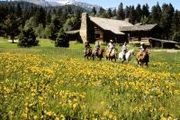 Tracts 10 & 16 Crescent H Ranch
