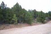 39715 W. Tabby Heights Rd.