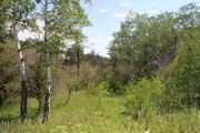 Whispering Pines Rd. Lot 4